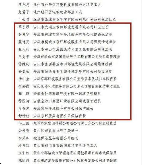 岳西最新爆料新闻事件,重大事件引发社会关注，真相即将揭晓！  第1张