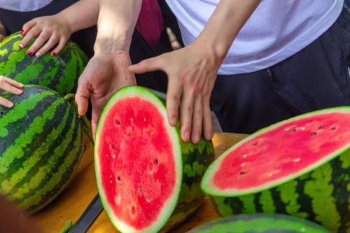 吃瓜免费传送门,带你轻松畅游娱乐世界  第1张